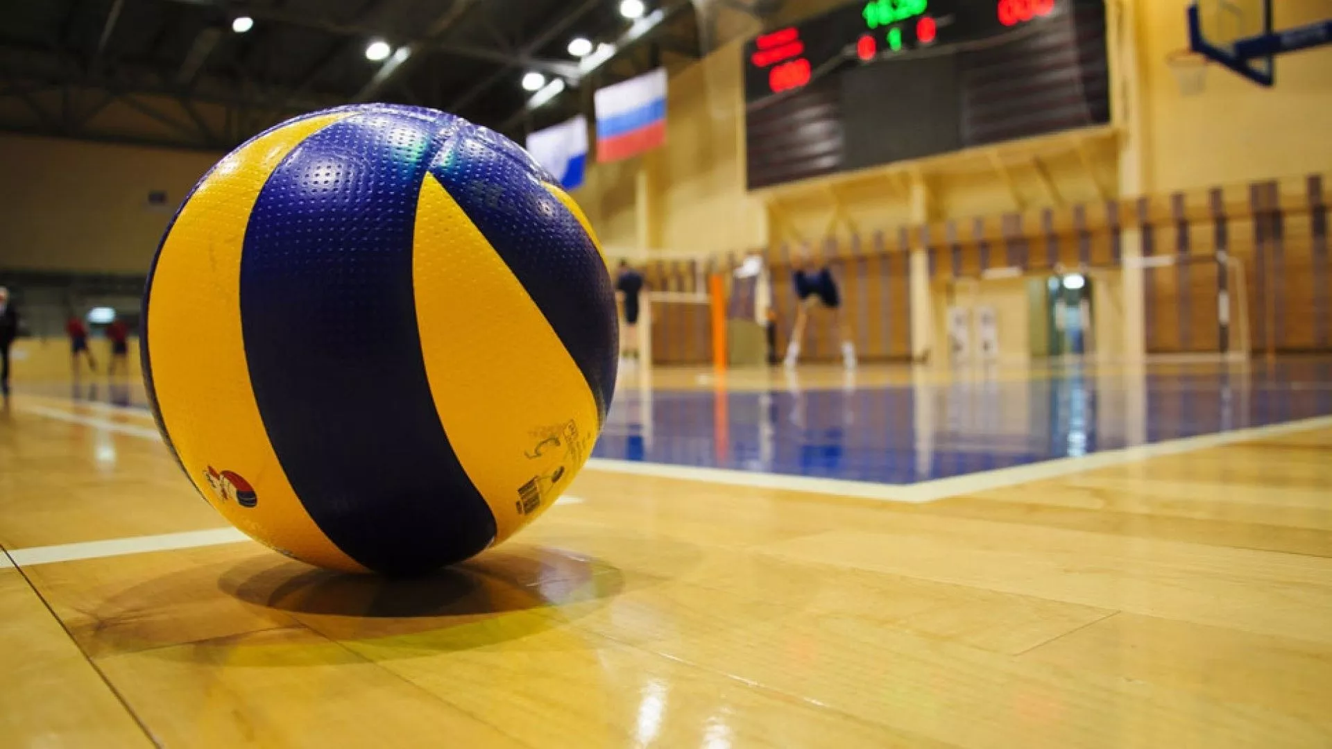 Volleyball Wallpaper