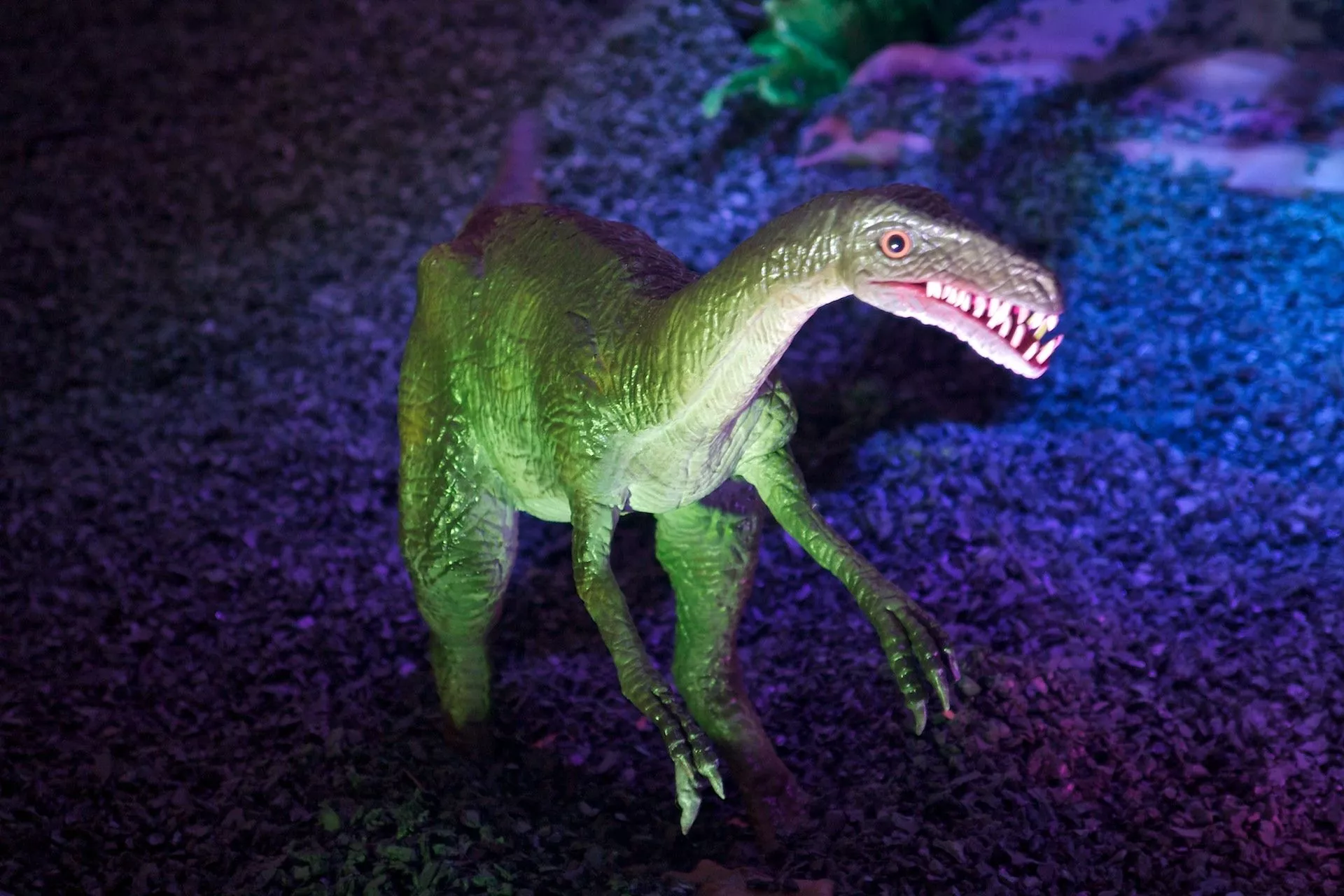 Troodon Dinosaur Desktop Wallpaper