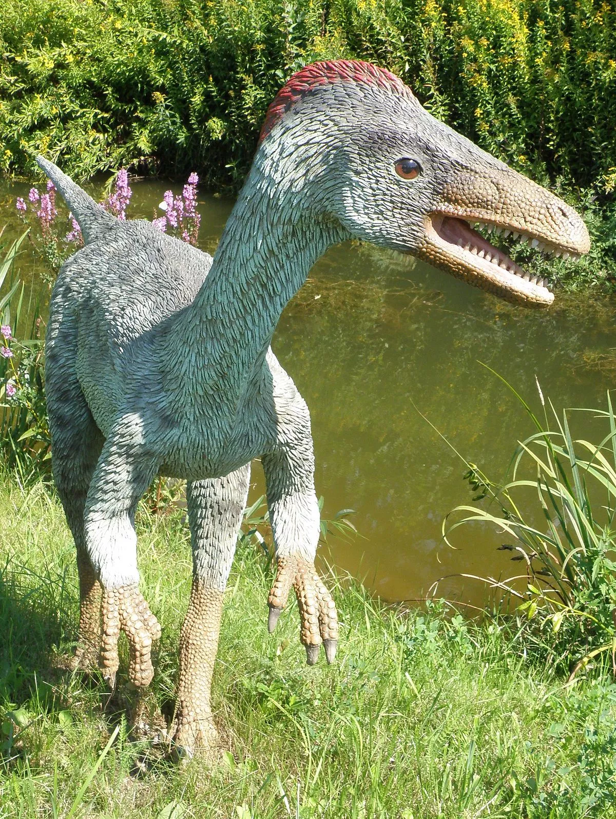 Troodon