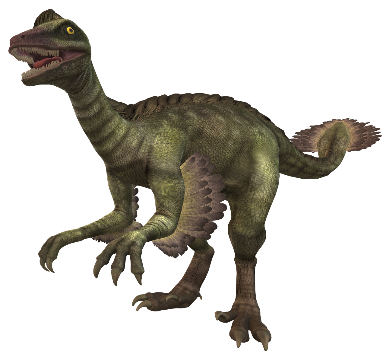 Download Dinosaur, Troodon, Theropod