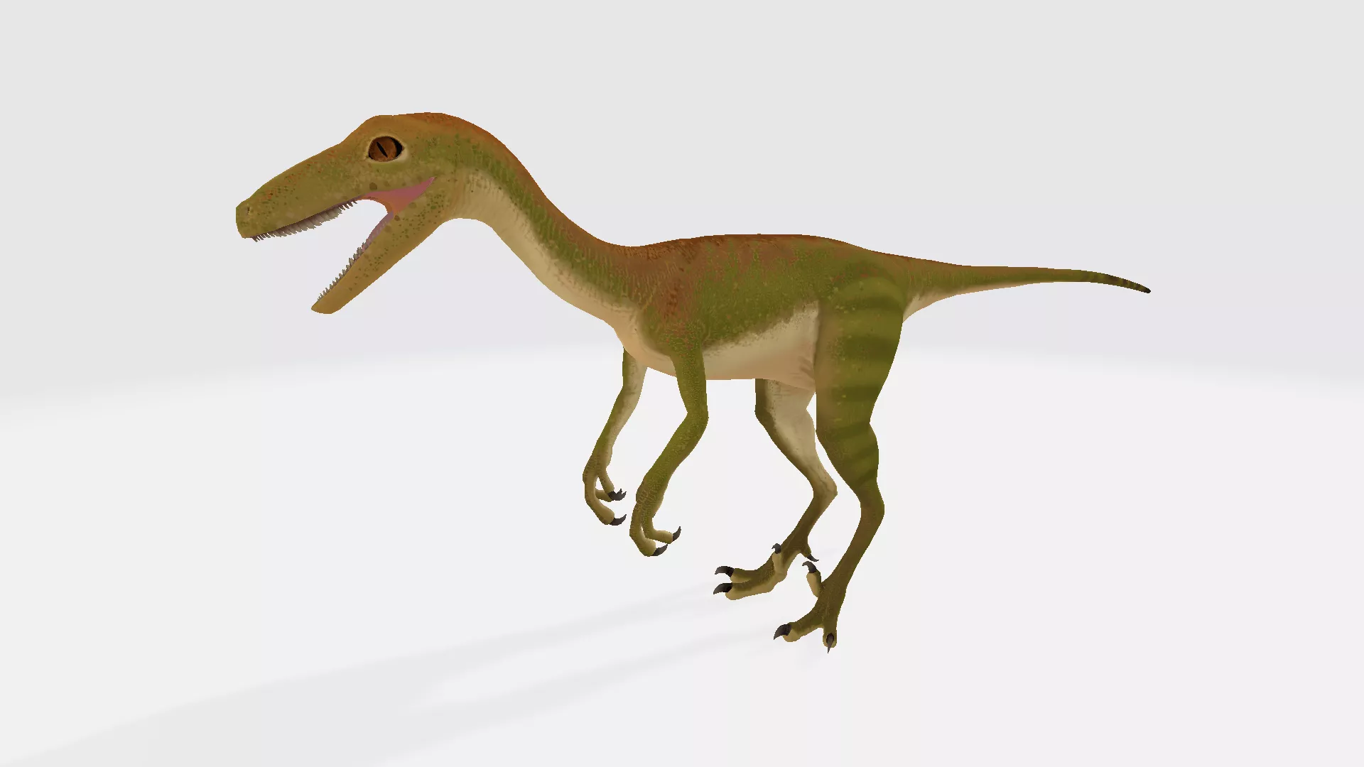 3D file Troodon