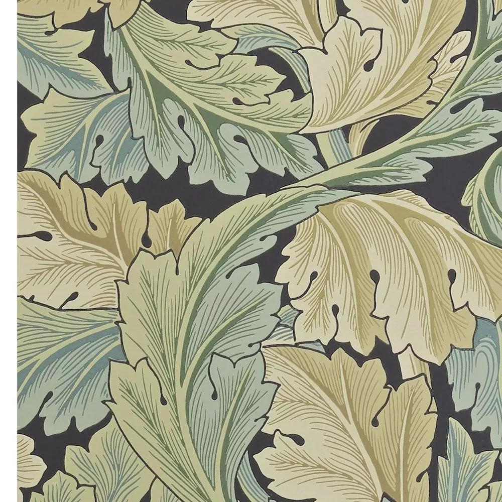 Morris Acanthus Privet DARW212550