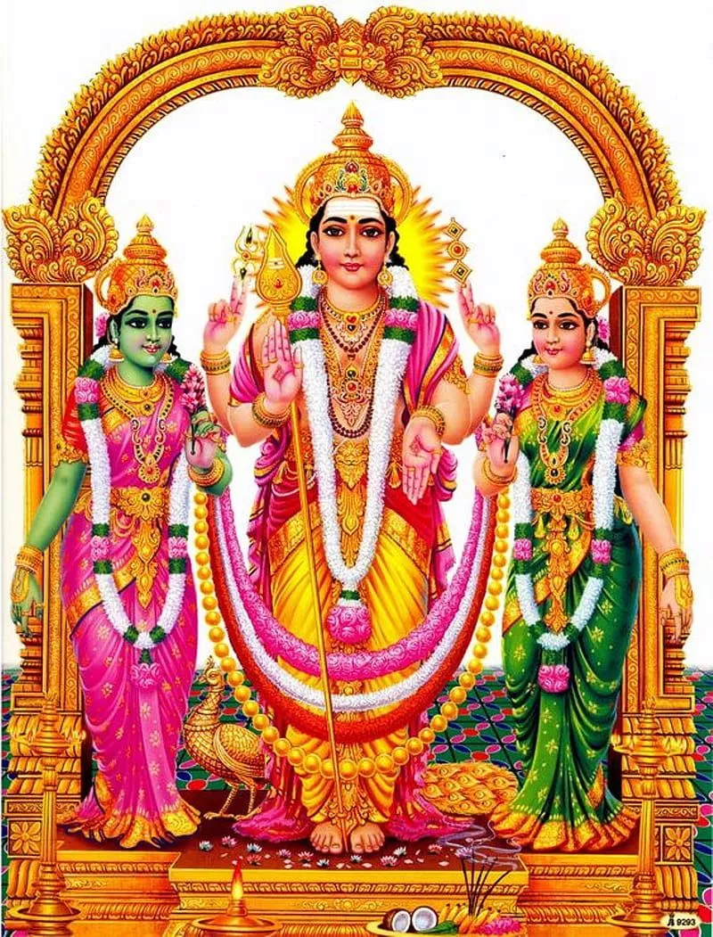 Lord Murugan, deivanai, god, valli, HD