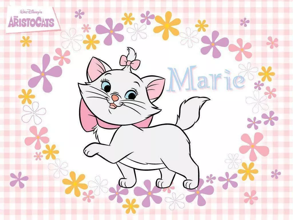 Marie Cat Picture