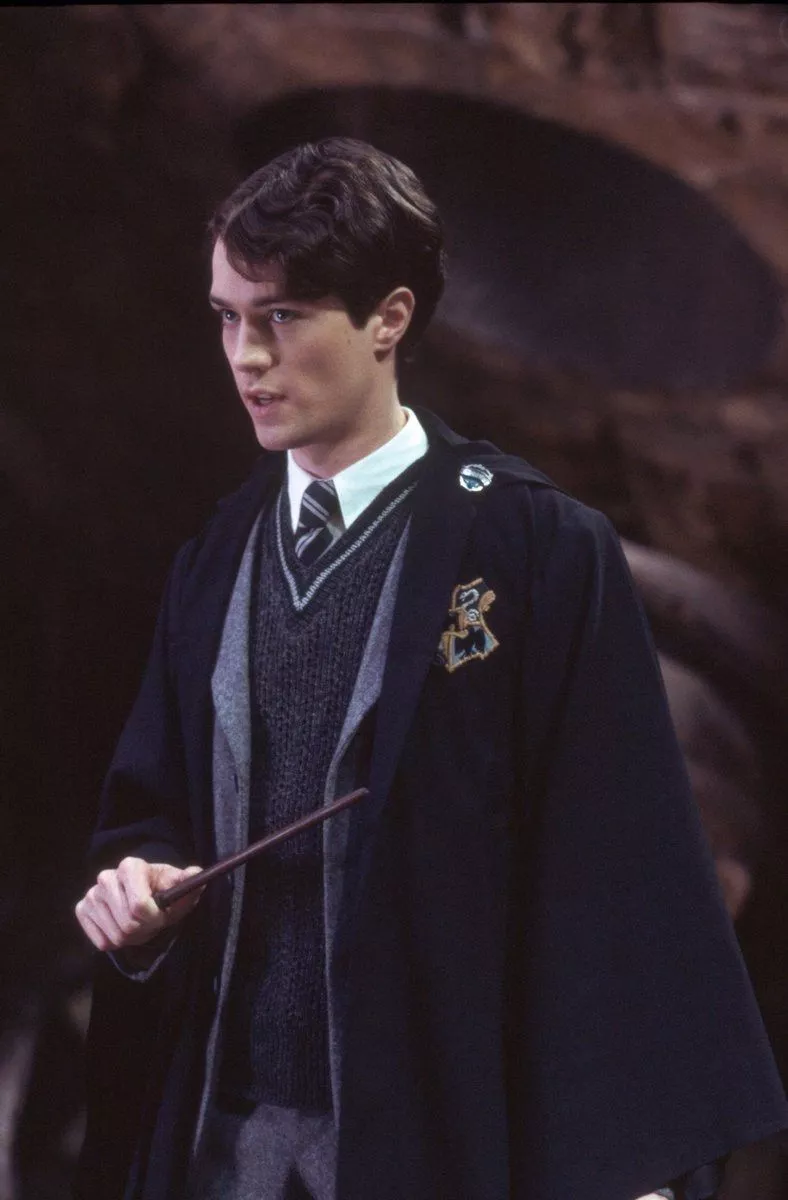 Christian Coulson as Tom Riddle