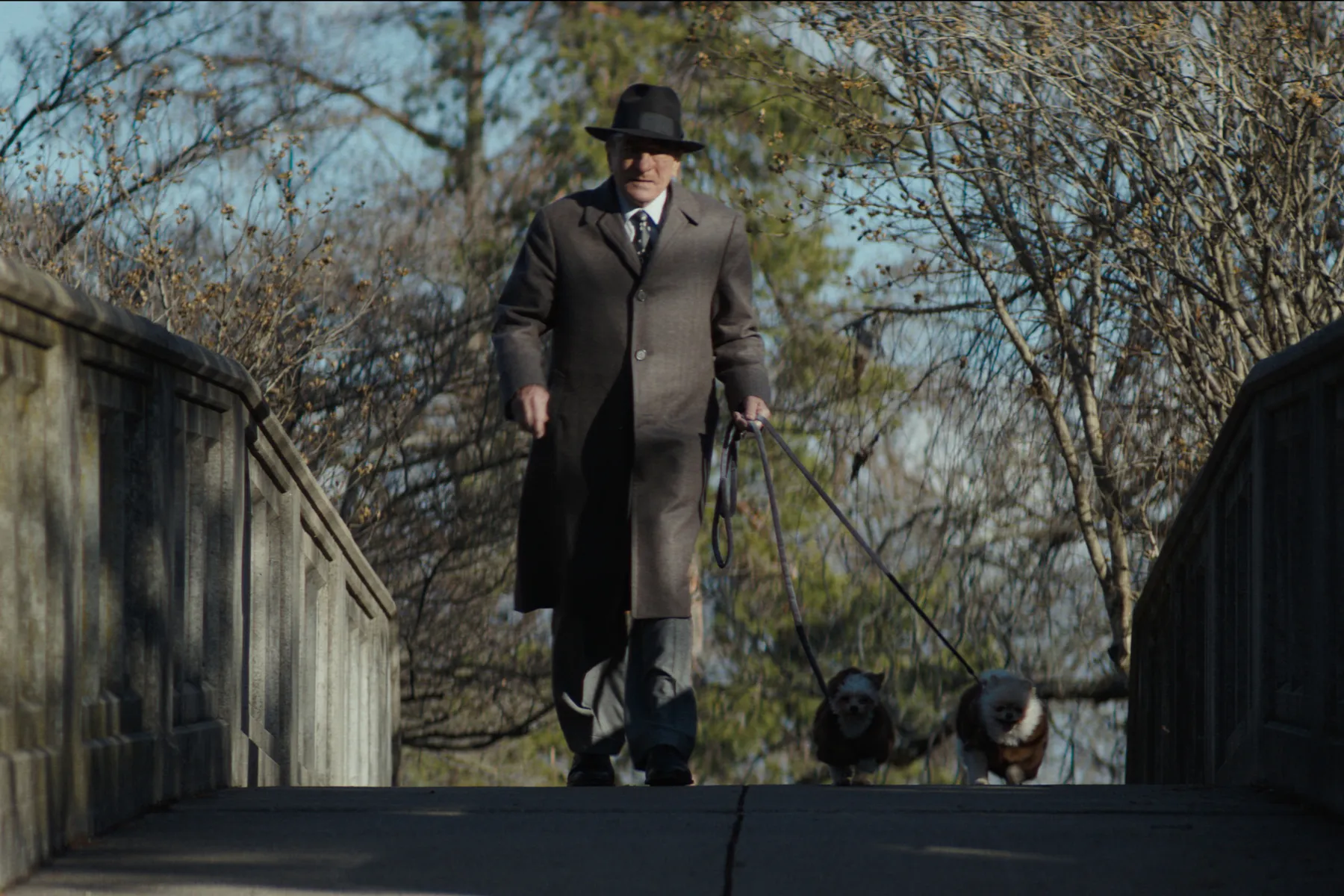 The Alto Knights' Shows Robert