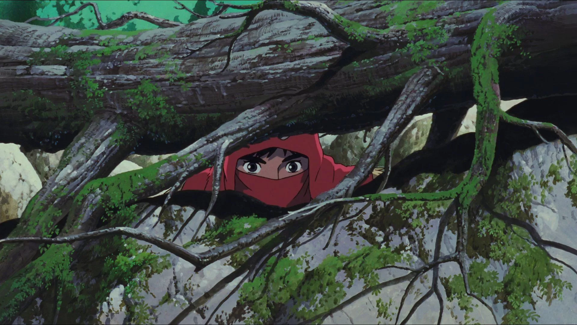 Princess Mononoke Review