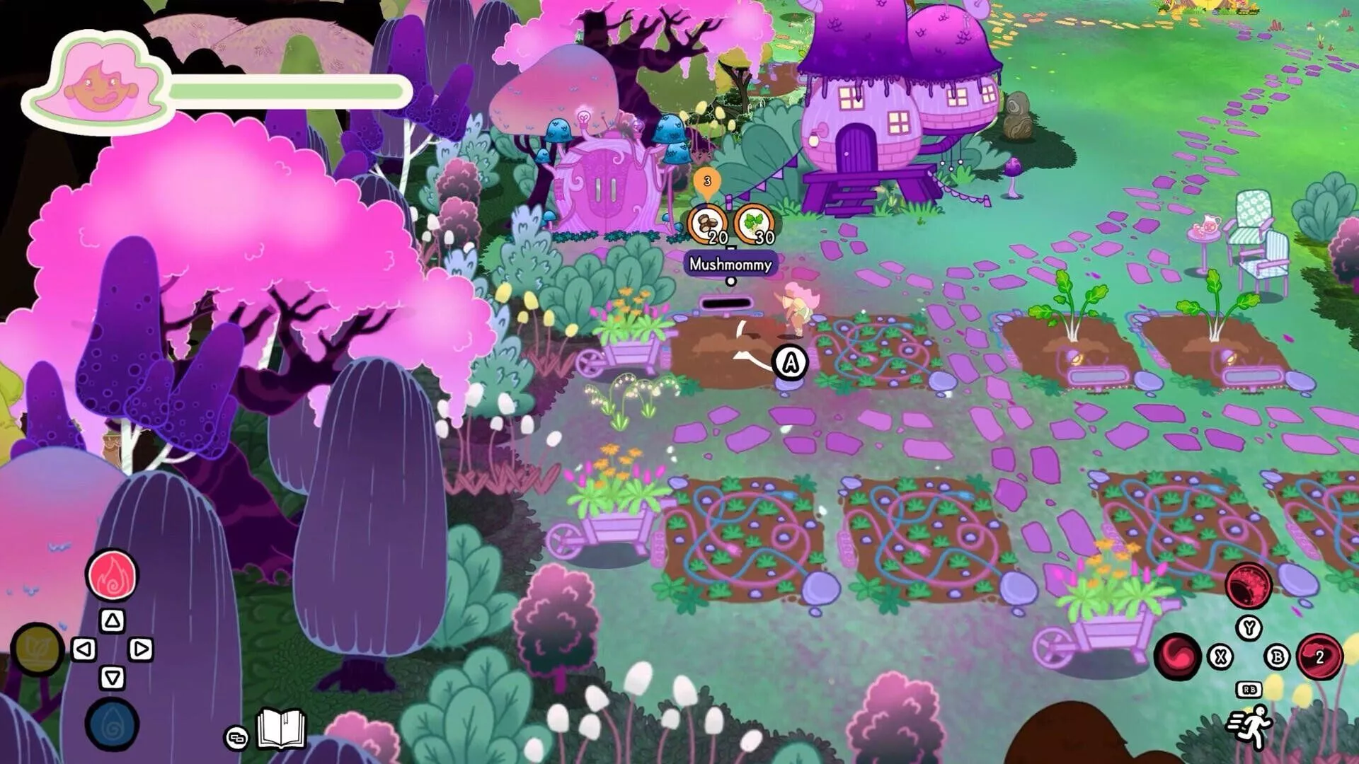 Discover the Enchantment of Grimoire Groves