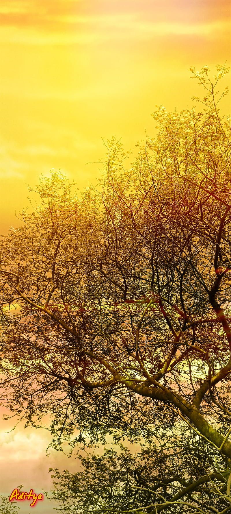 tecno, HD phone wallpaper