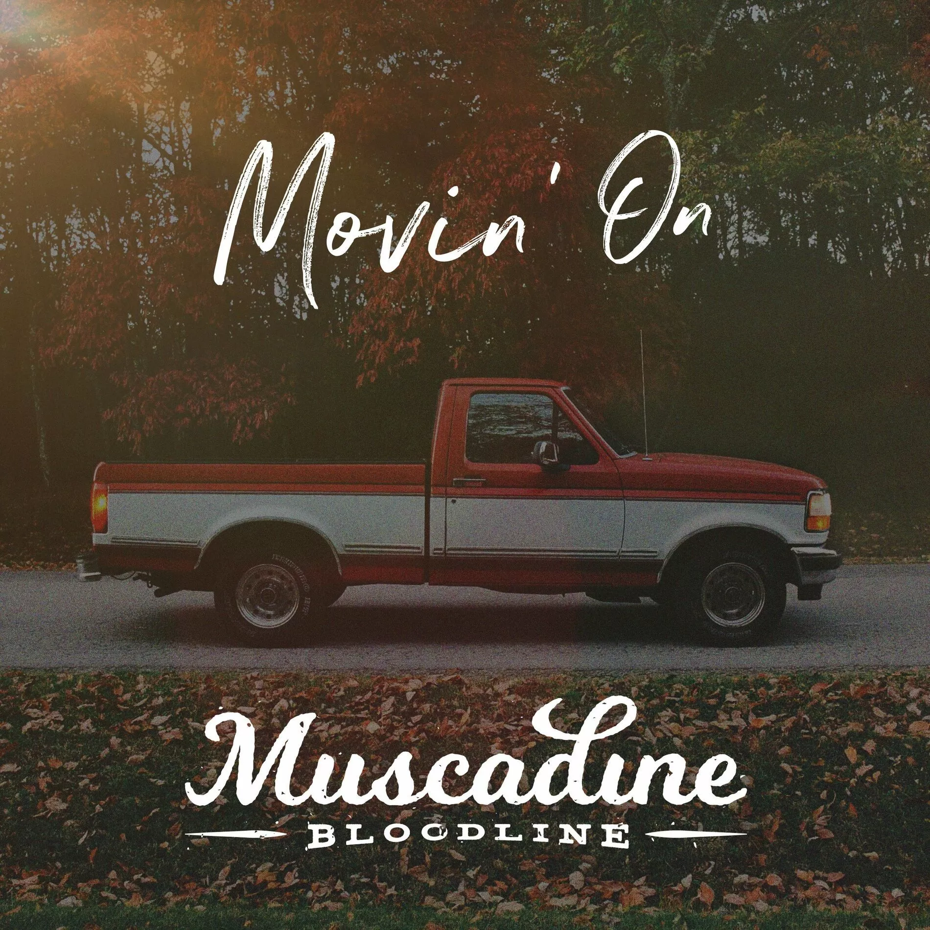Muscadine Bloodline' On