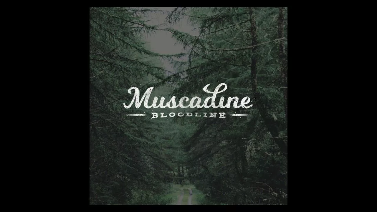 Night (LYRICS) Bloodline