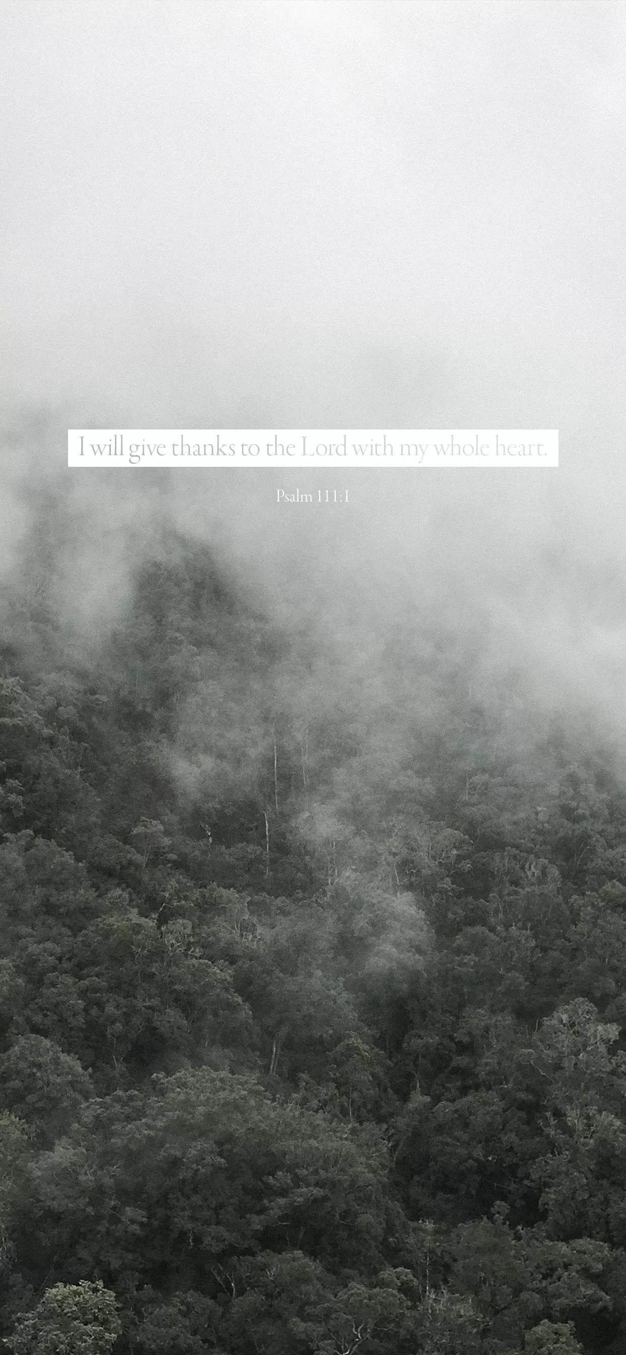 Aesthetic Bible Verse Wallpaper