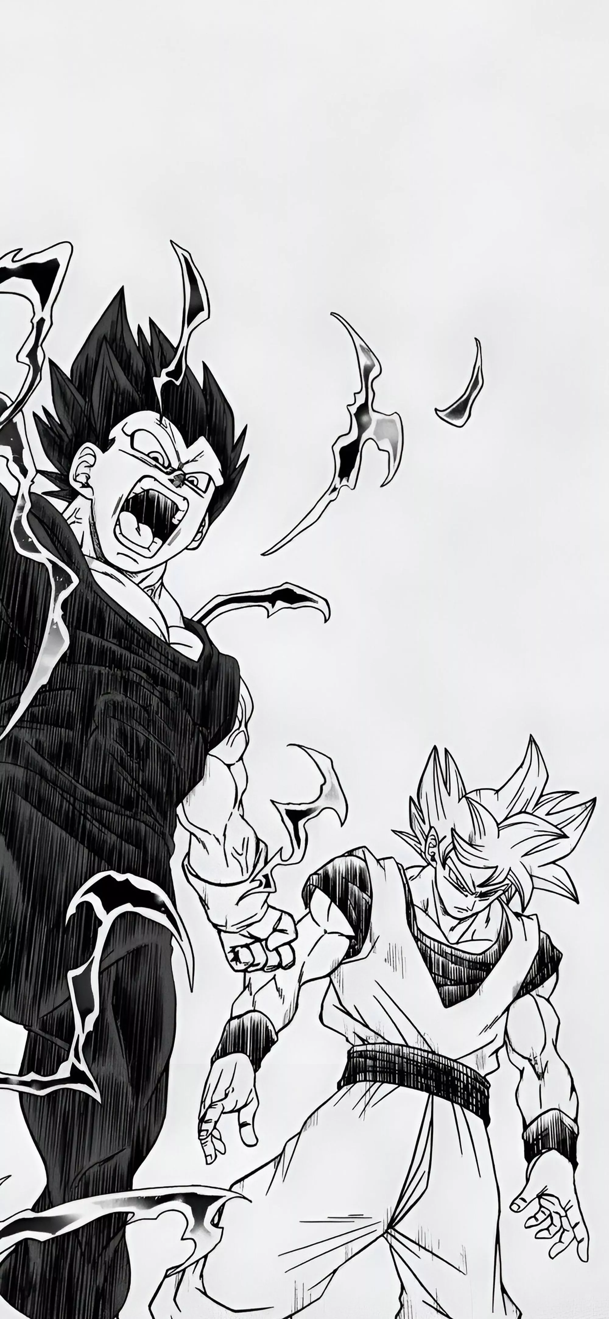 Dragon Ball Vegeta and Goku Manga Style