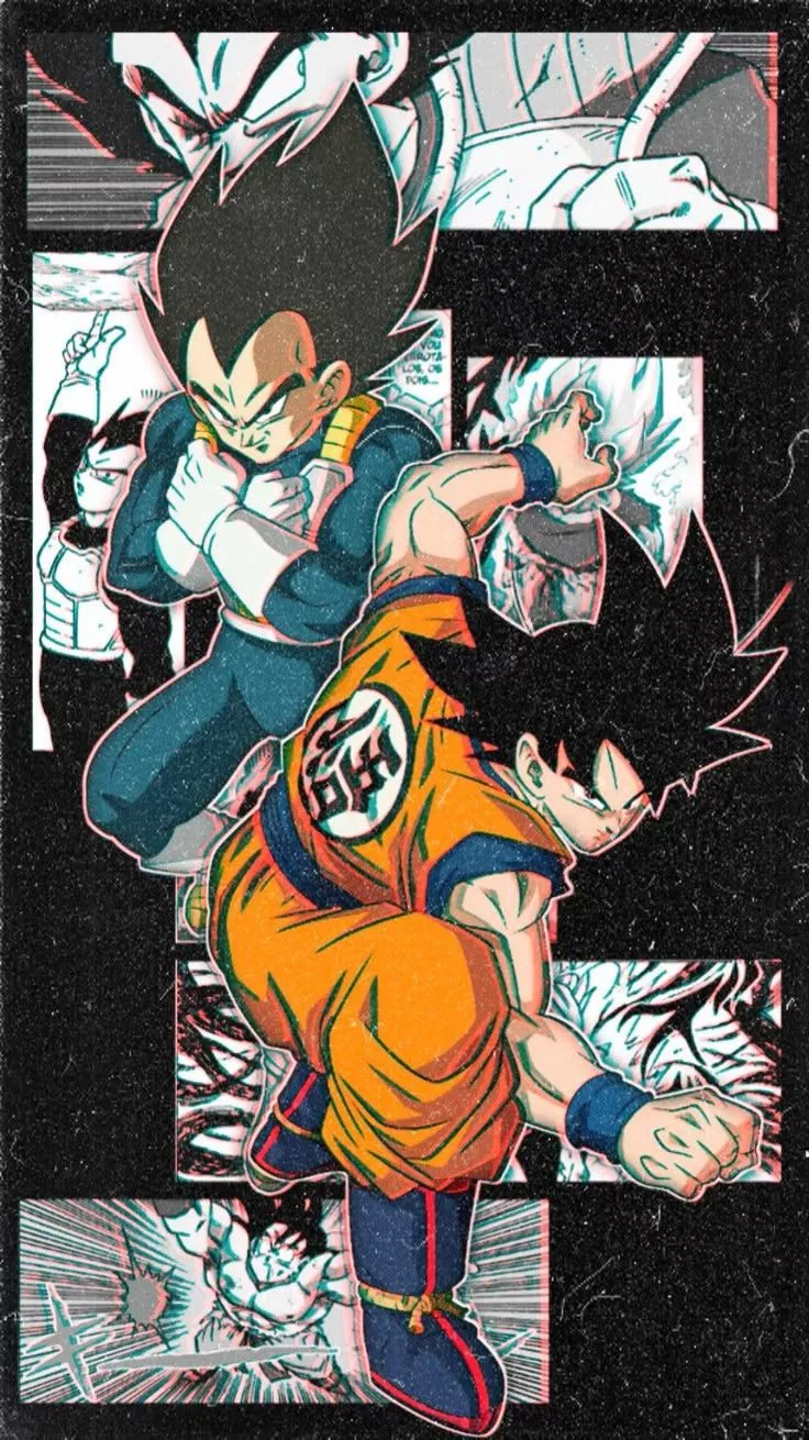 Goku and Vegeta Wallpaper