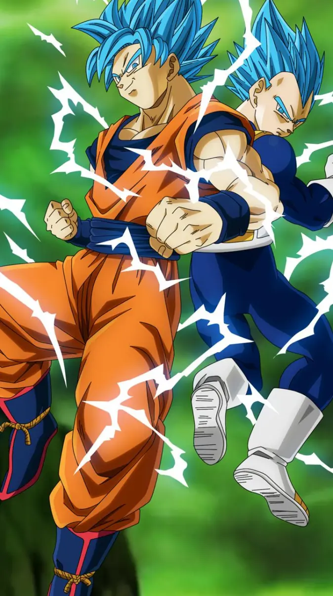 Goku and vegeta wallpaper