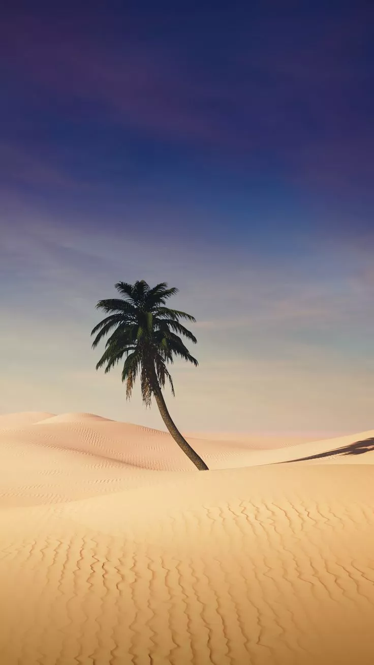 Nature. Pretty wallpaper background