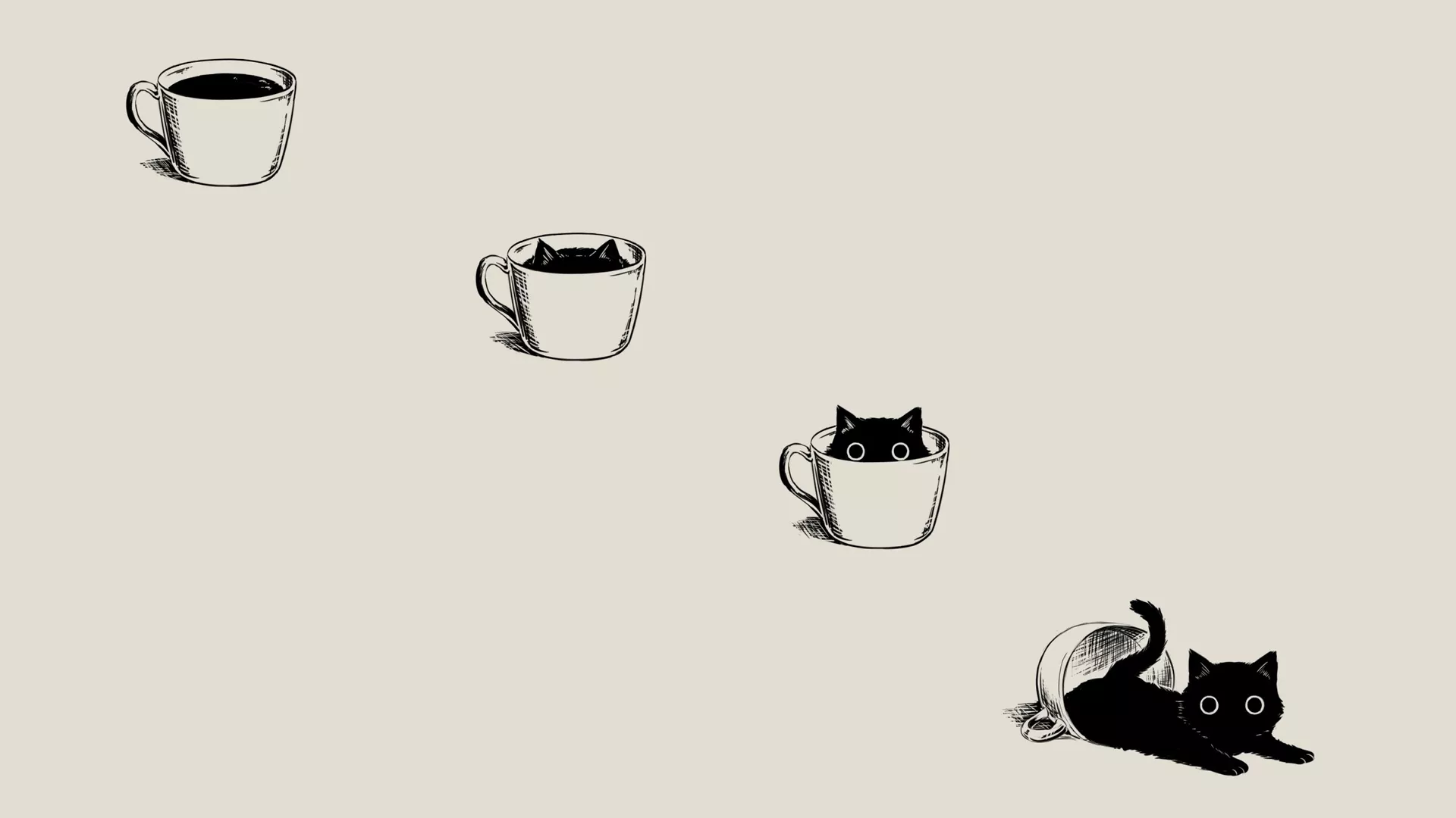 Cup Minimalist Animal Cat HD Wallpaper