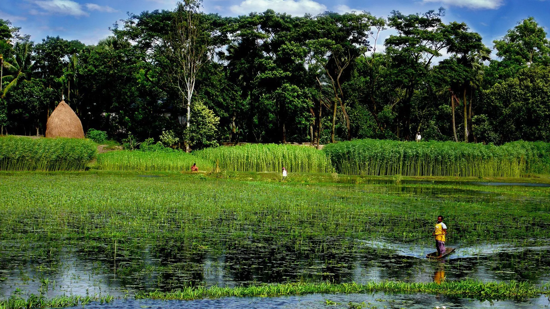 Bengal Water Machine”, Bangladesh
