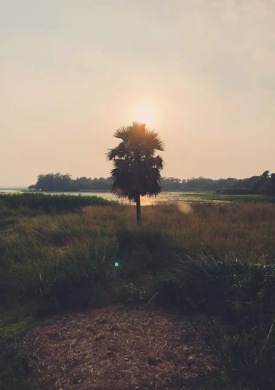 bangladesh, sunrise, sunset, rural