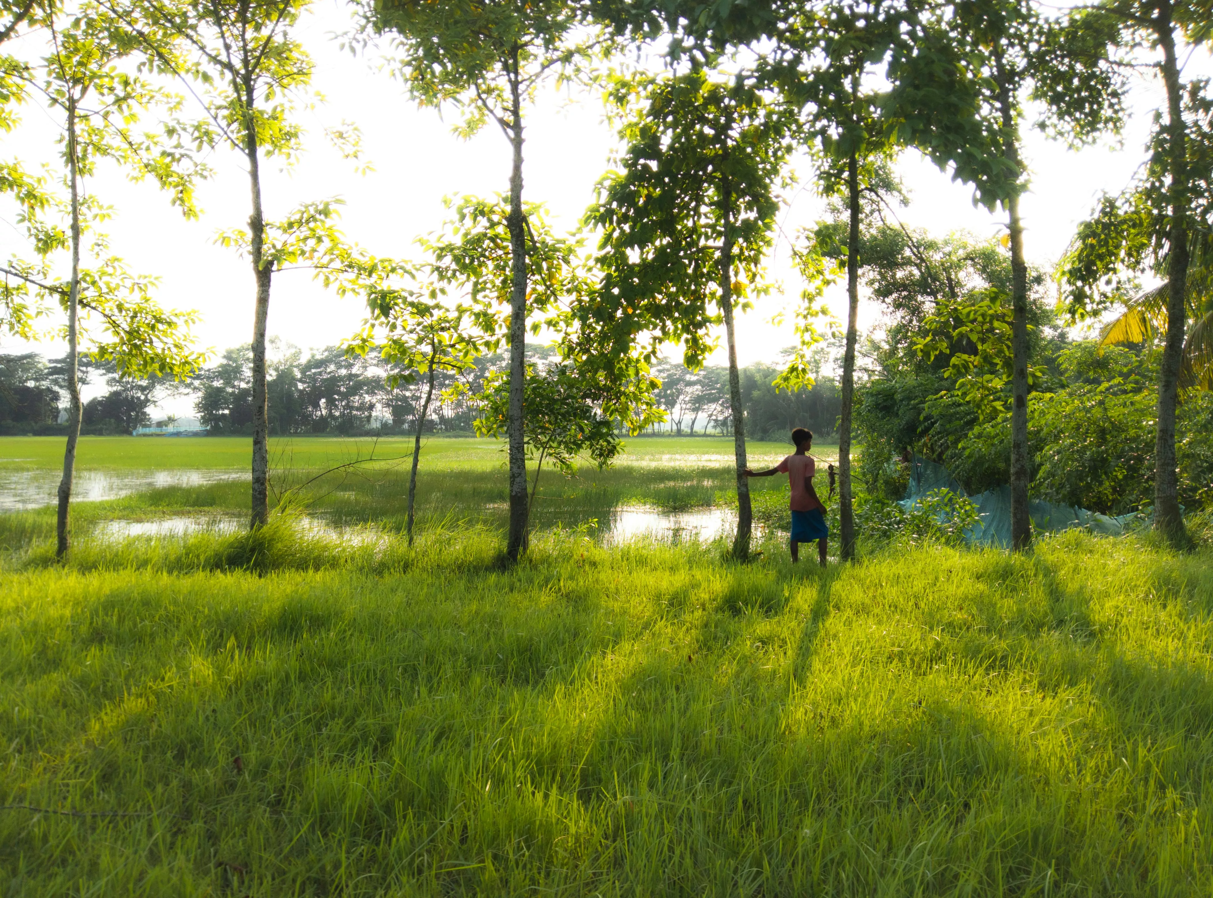 Bangladesh Village Photo, Download