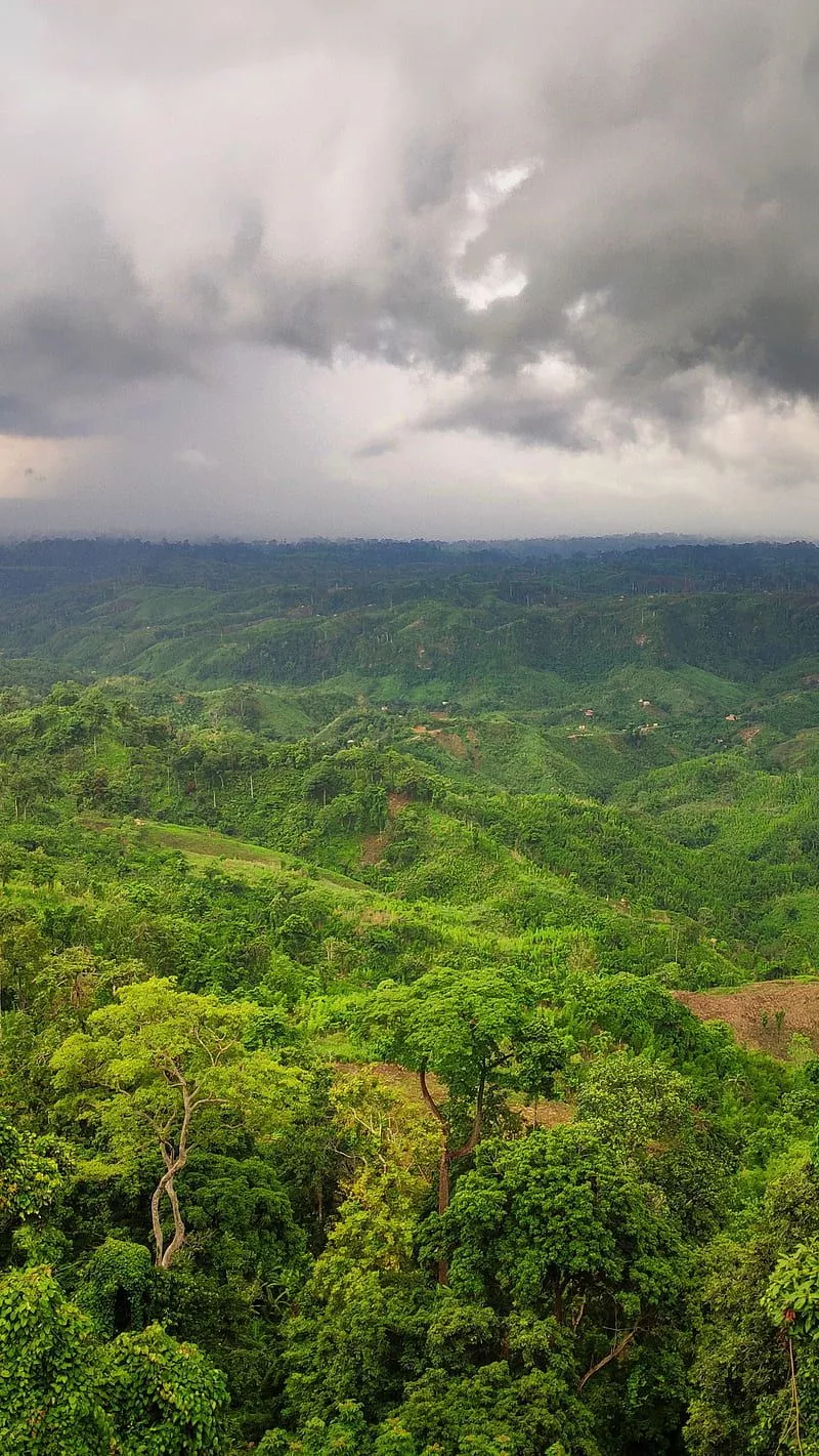 HD natural beauty bangladesh wallpaper