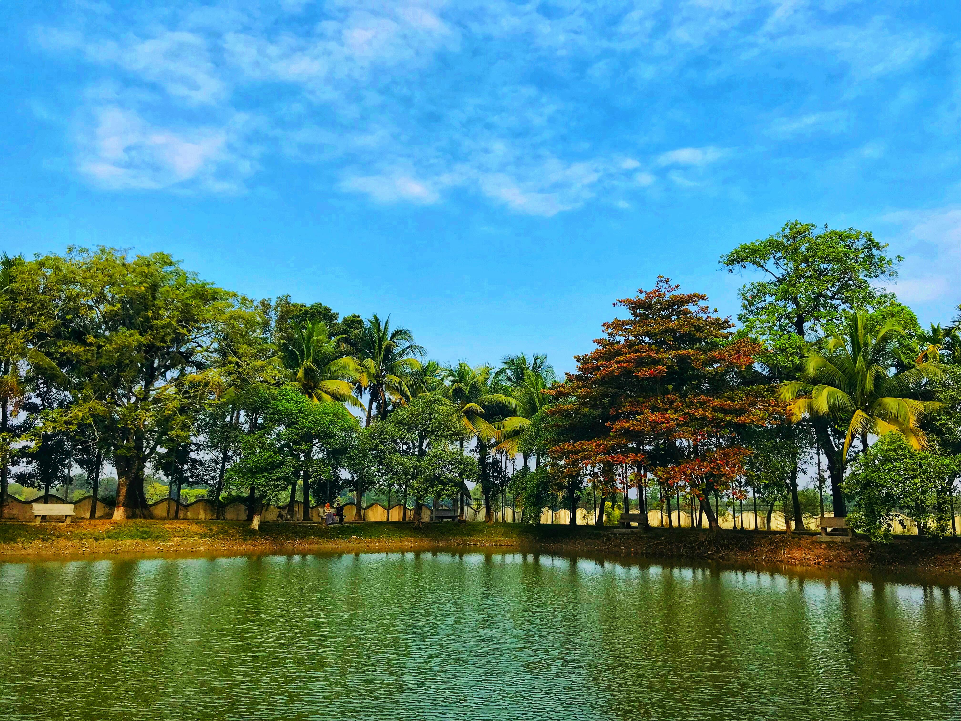 Free of bangladesh, beauty