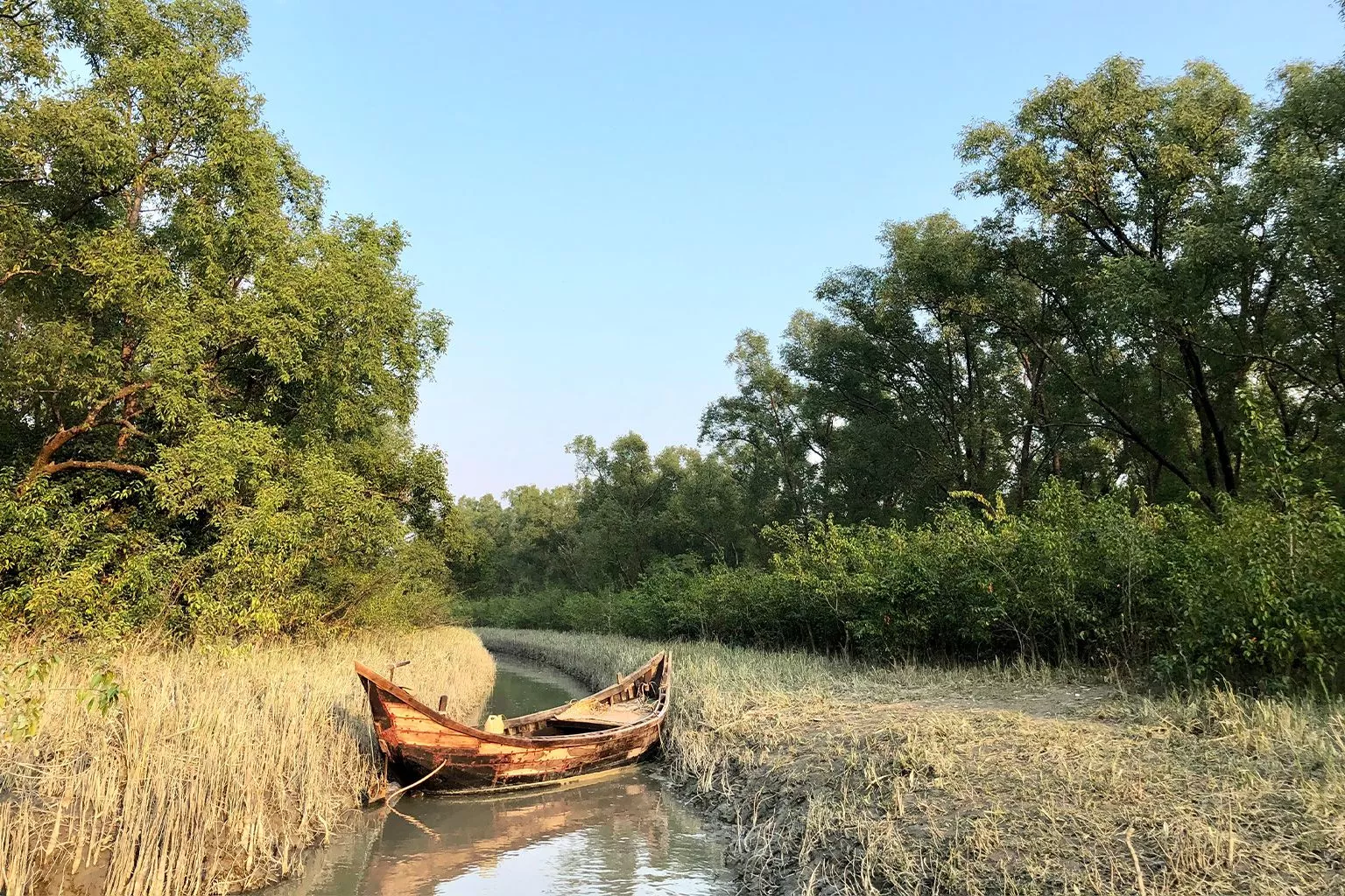 protected forests are really protected