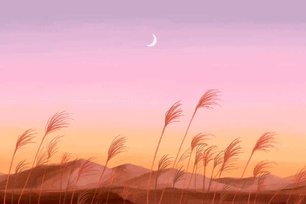 Serene Sunset Pastel Nature Mural