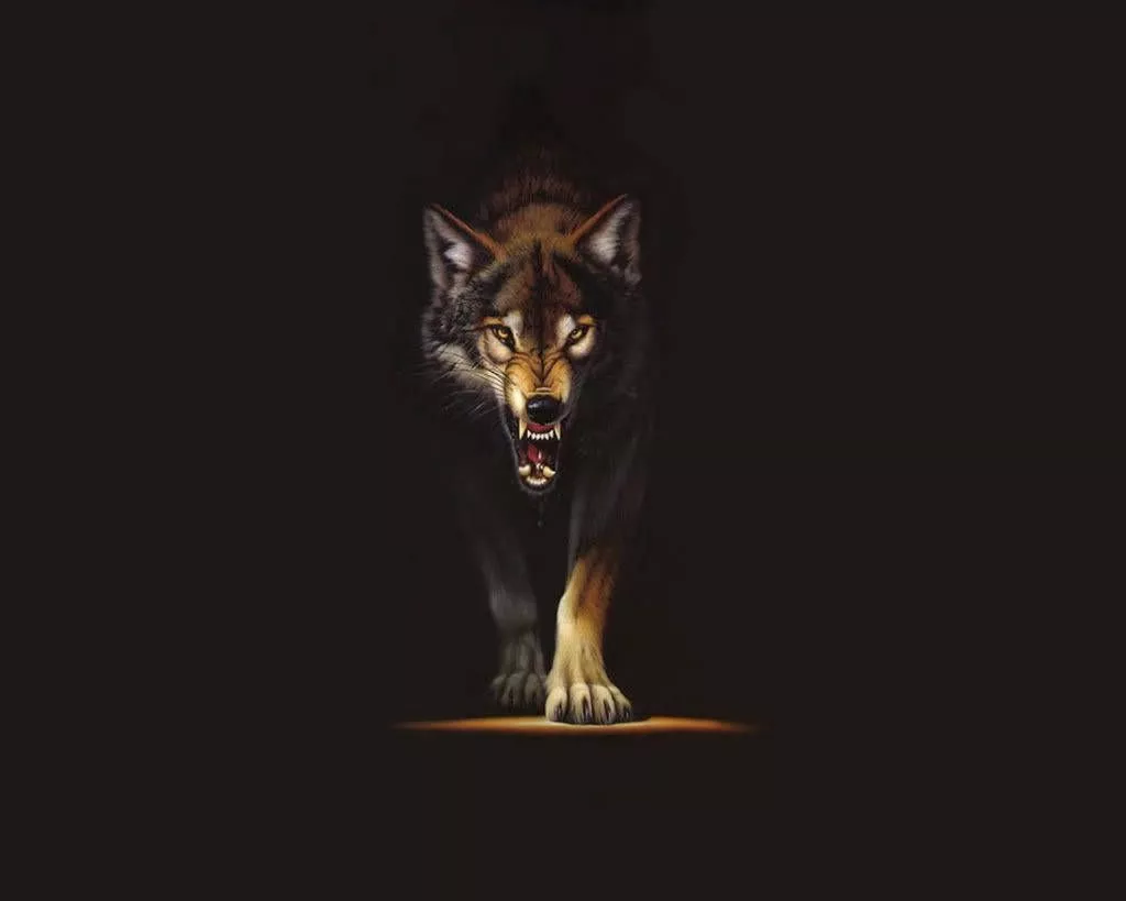 An Intimidating Brown Wolf Wallpaper