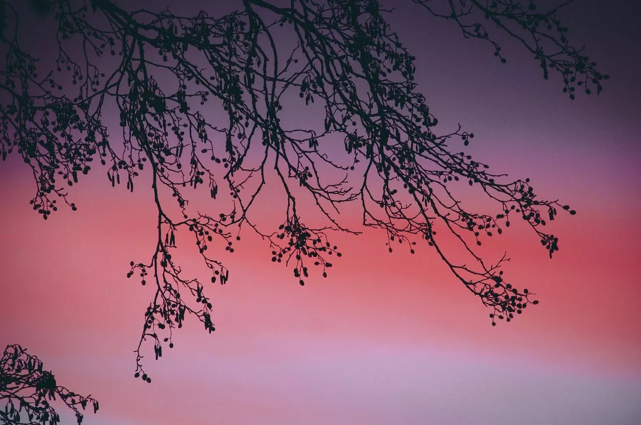 200,Free Pink Sky & Pink Image