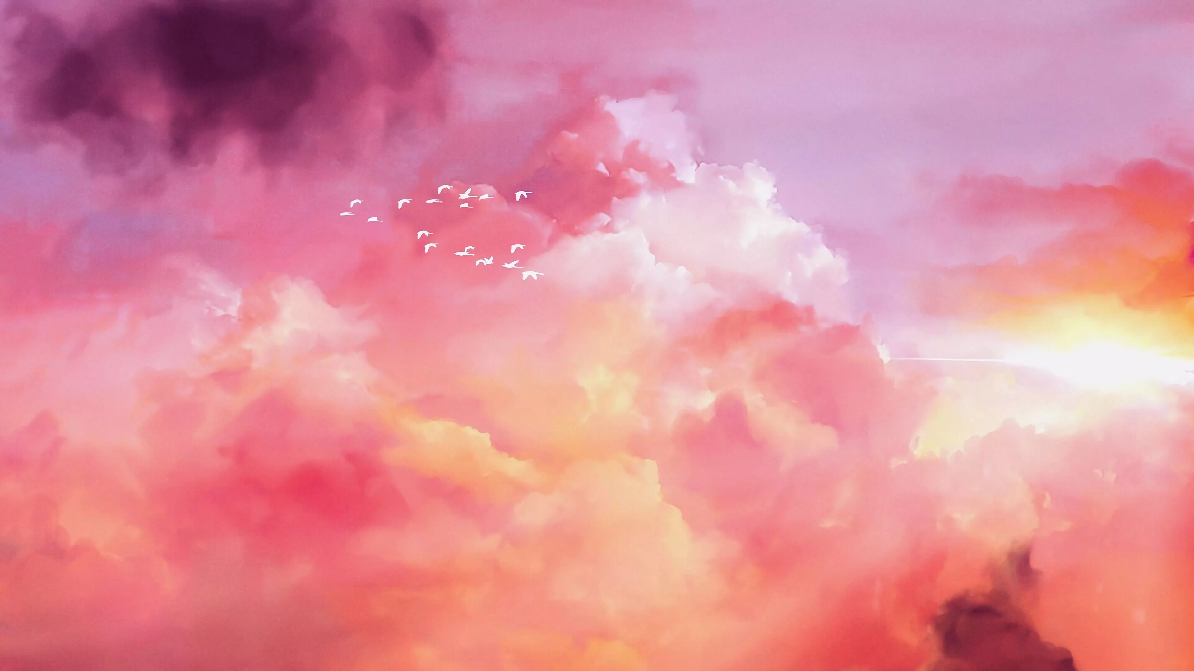 Download wallpaper 3840x2160 birds