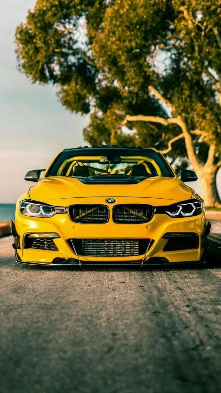Beautiful Yellow