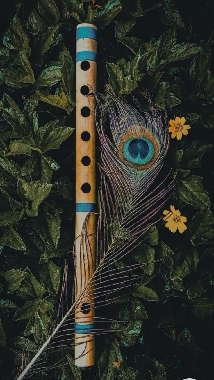 Flute and peacock feather