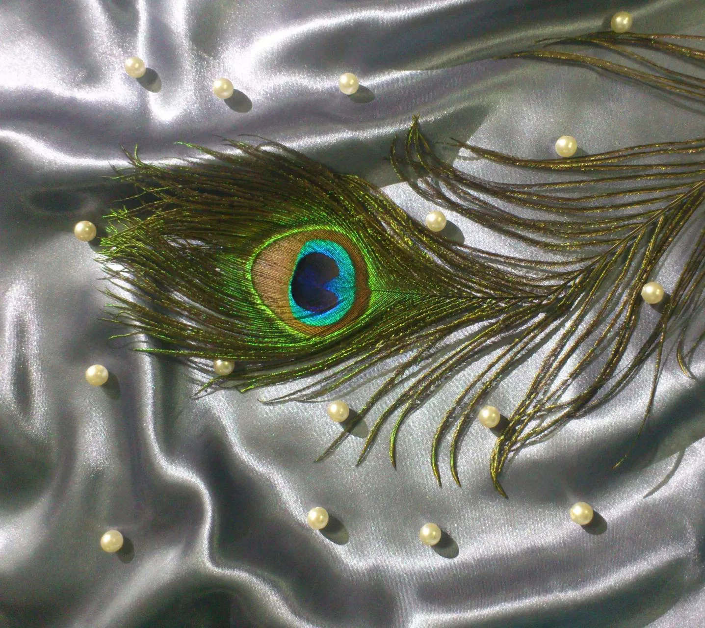 Download free Majestic Peacock Feather