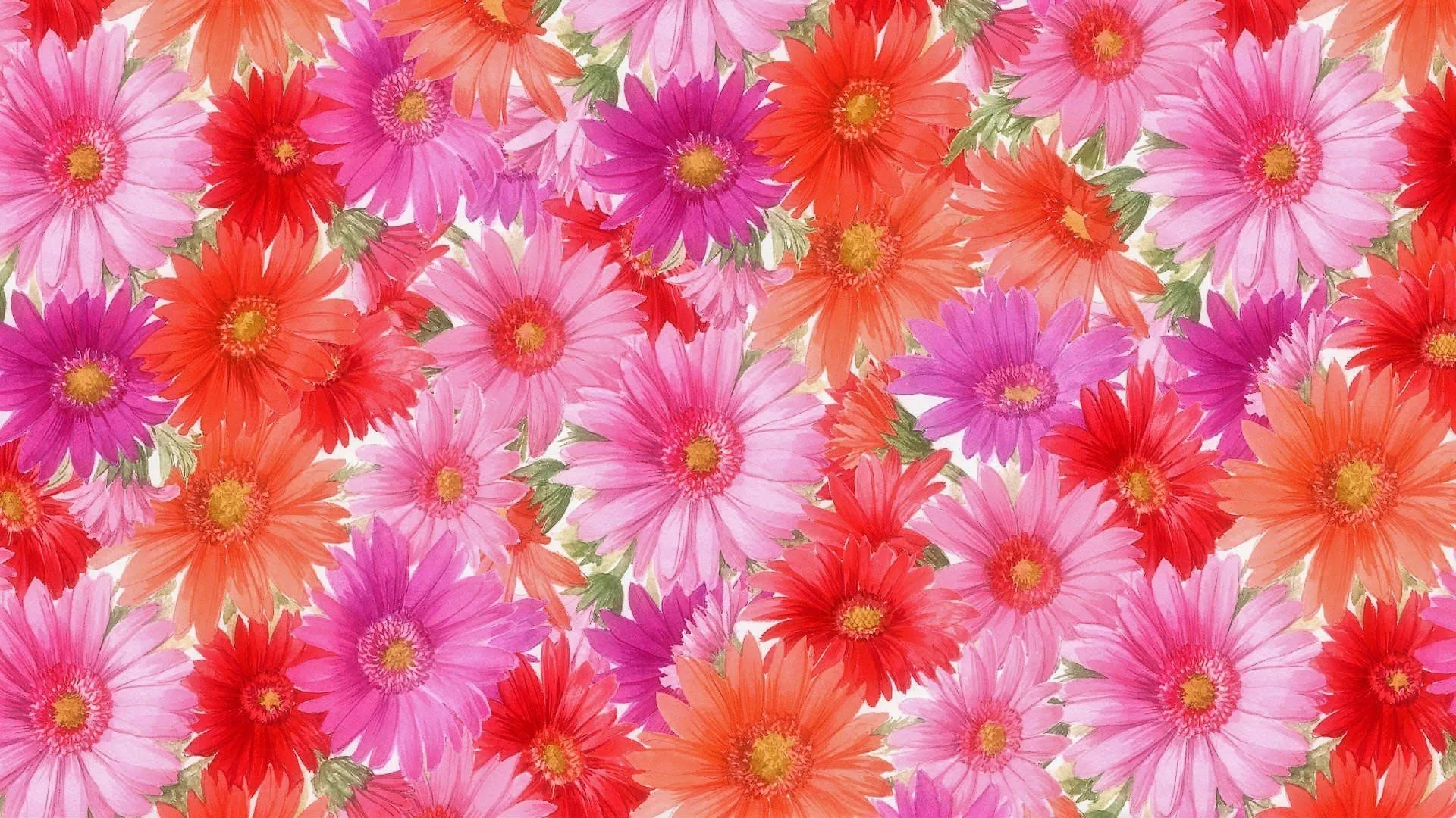 Download Pink Flower Red Flower Orange