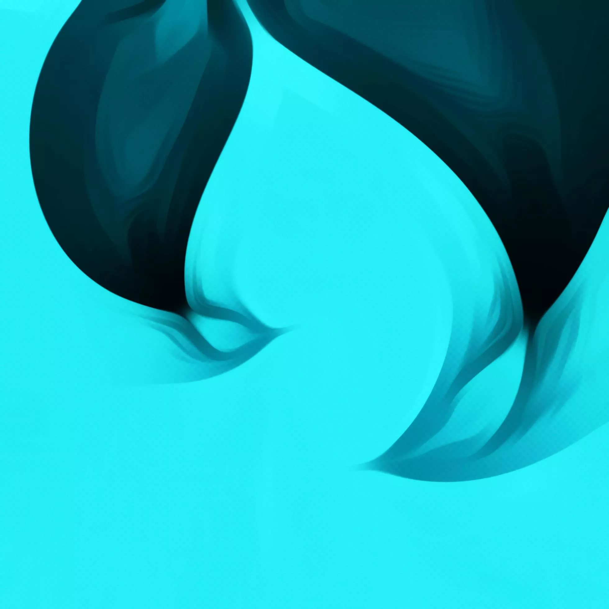 Bright Light Blue and Black Color