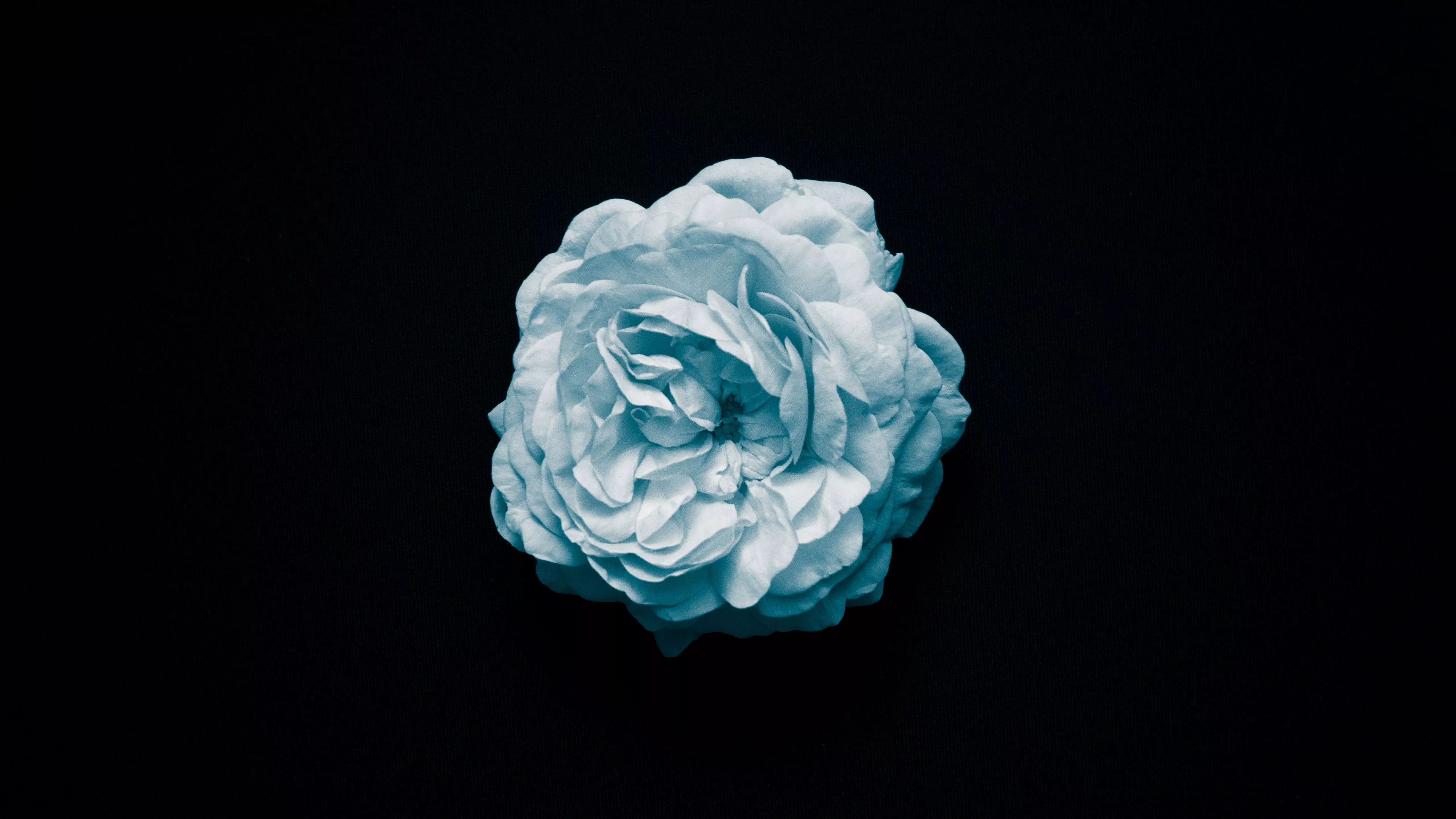 Black Background 4K 5K HD Light Blue