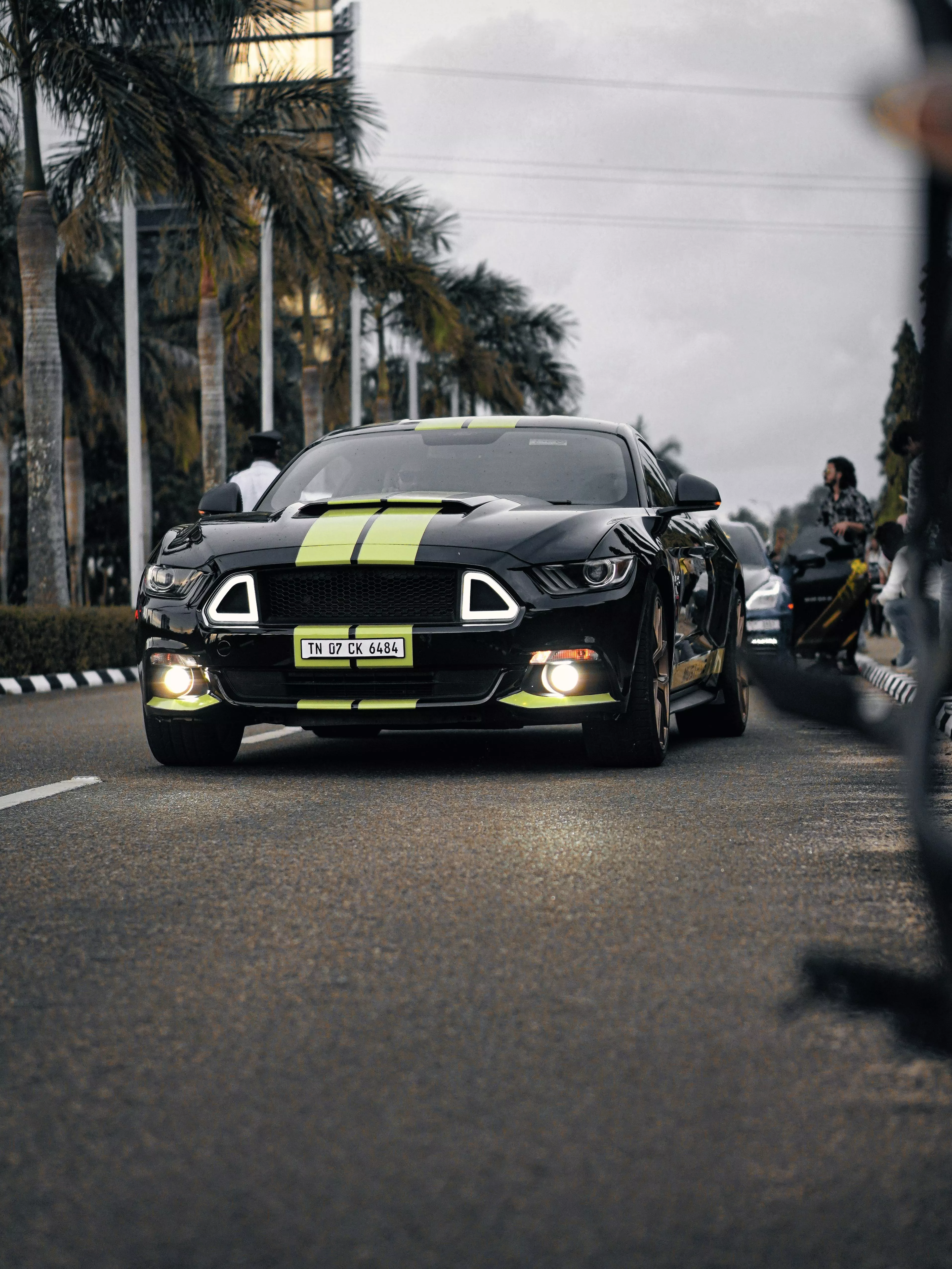 Mustang Gt Photo, Download The BEST