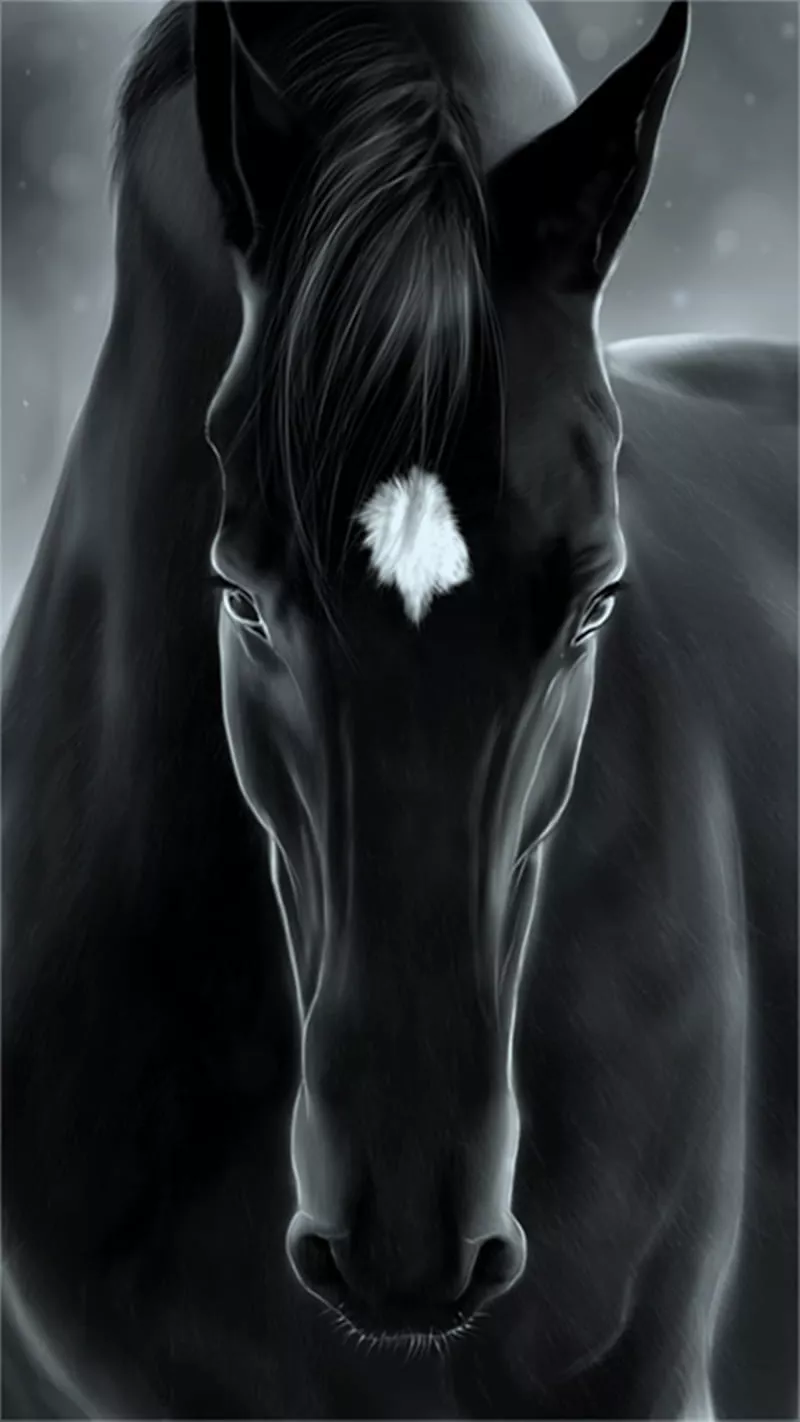 Black Horse, black, horse, HD phone wallpaper