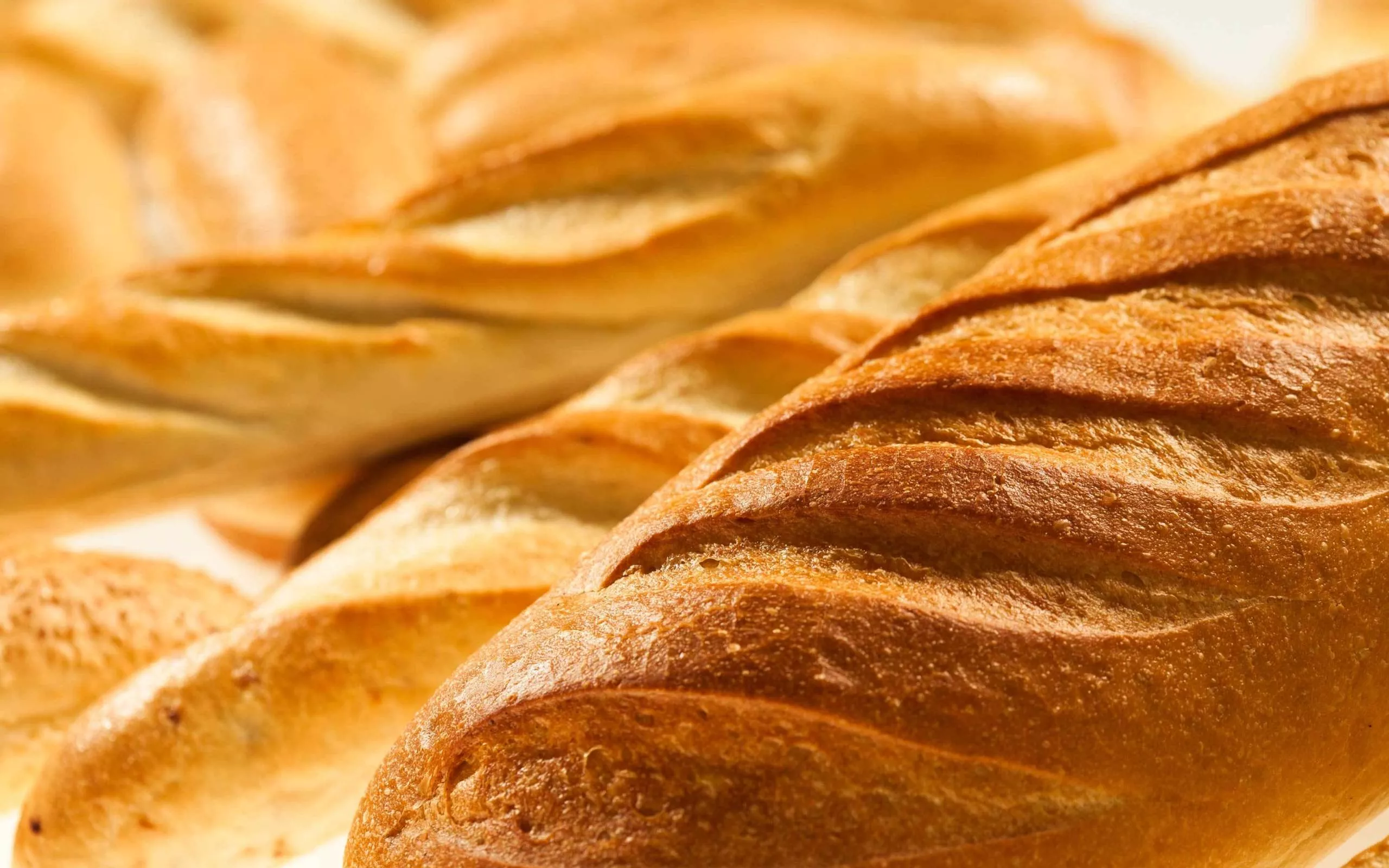 Download Food Bread HD Wallpaper