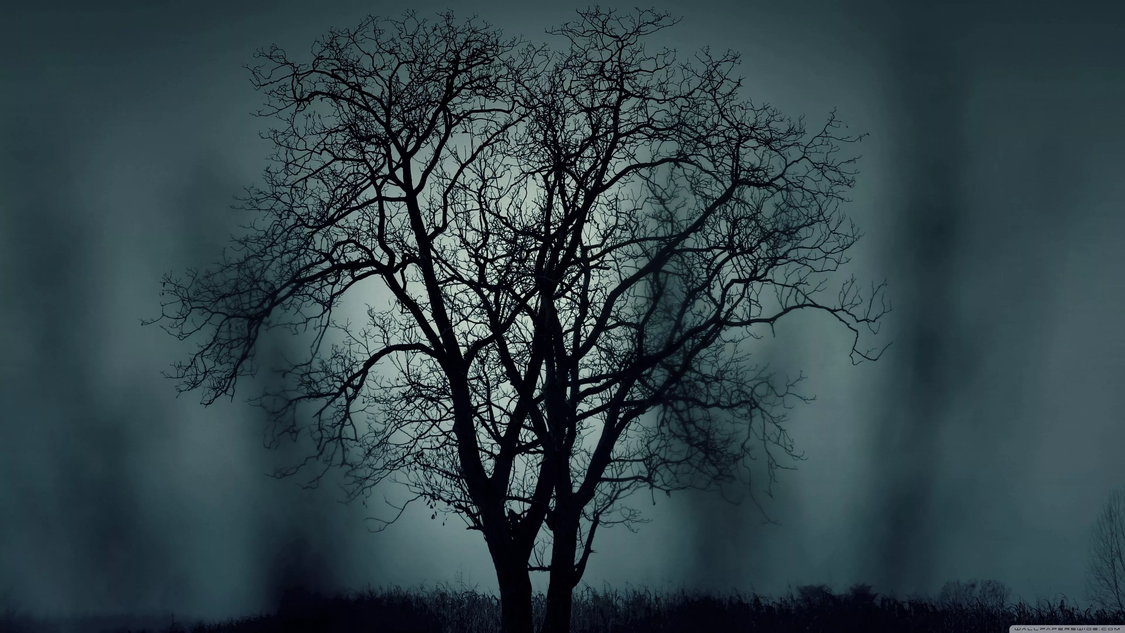 Mysterious Ultra HD Wallpaper for 4K