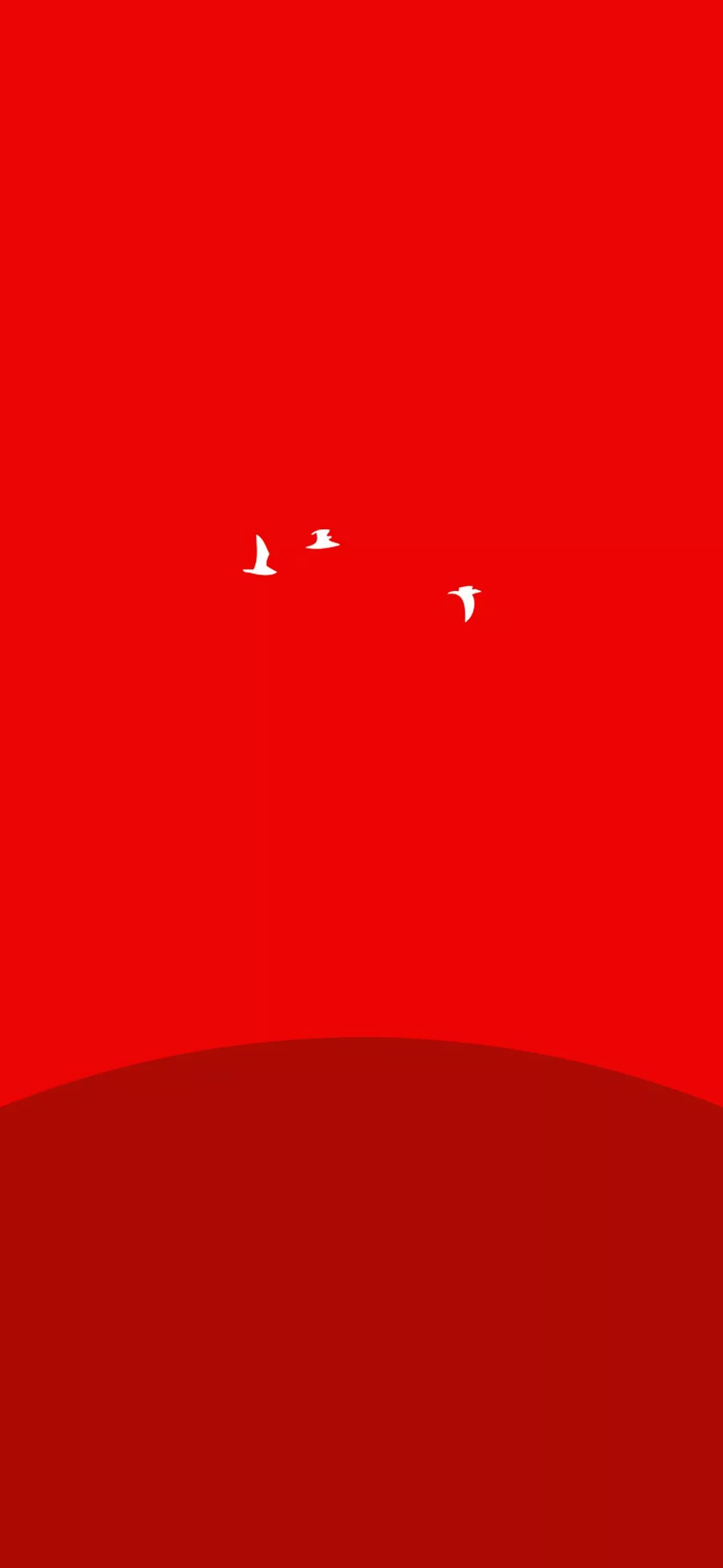 Sunset Red Bird Minimal