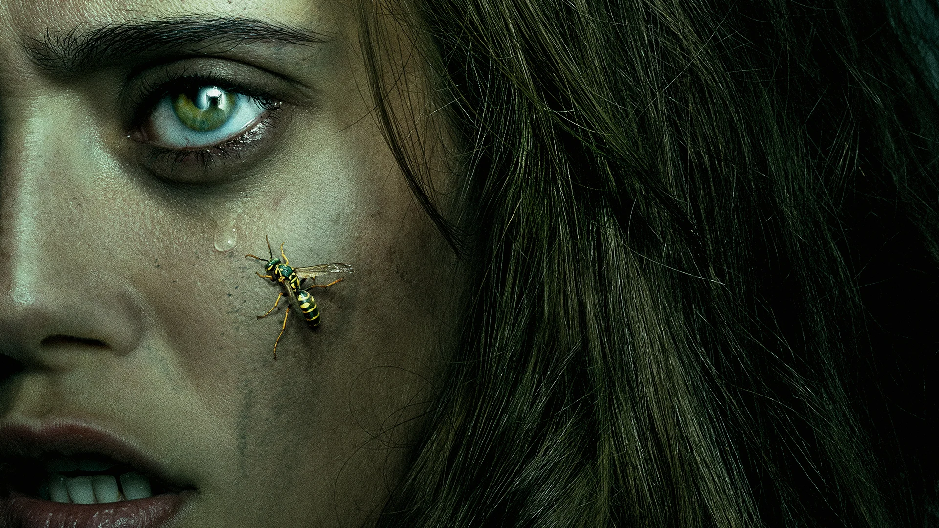 Watch Yellowjackets on Paramount+