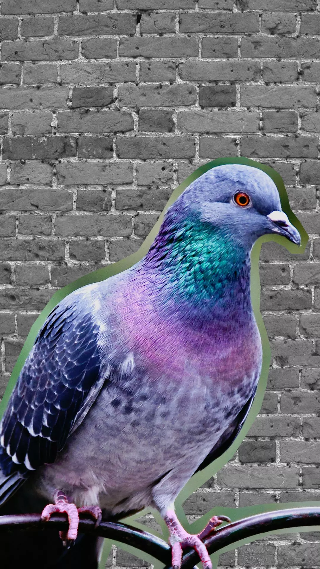 mobile phone wallpaper and lock screen