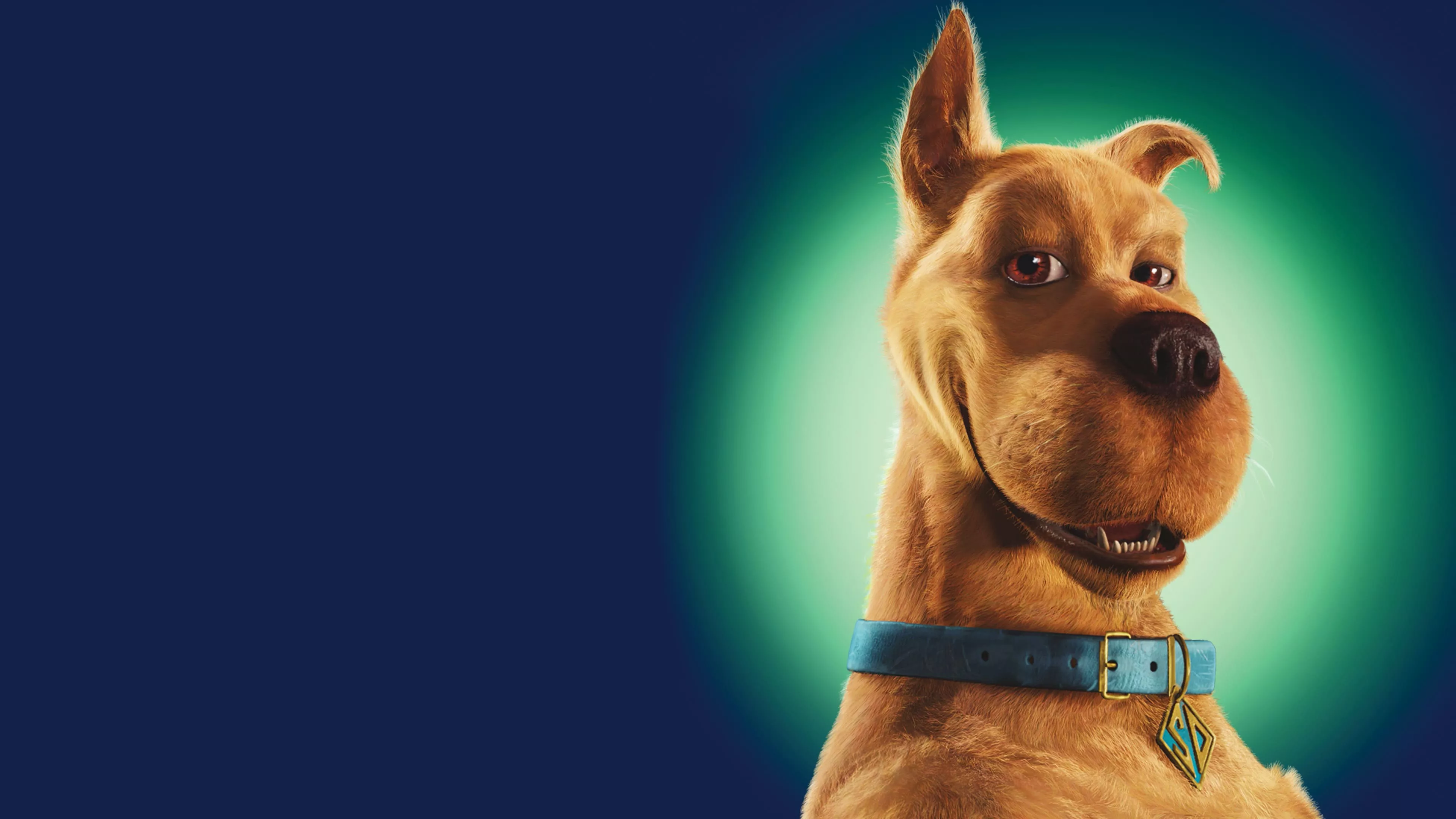 Movie Scooby Doo 4k Ultra HD Wallpaper