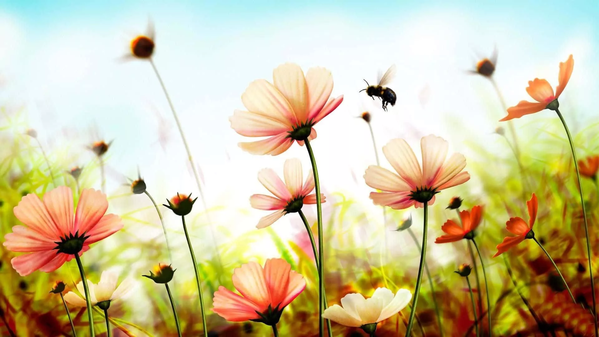 Cute Summer Desktop Wallpaper