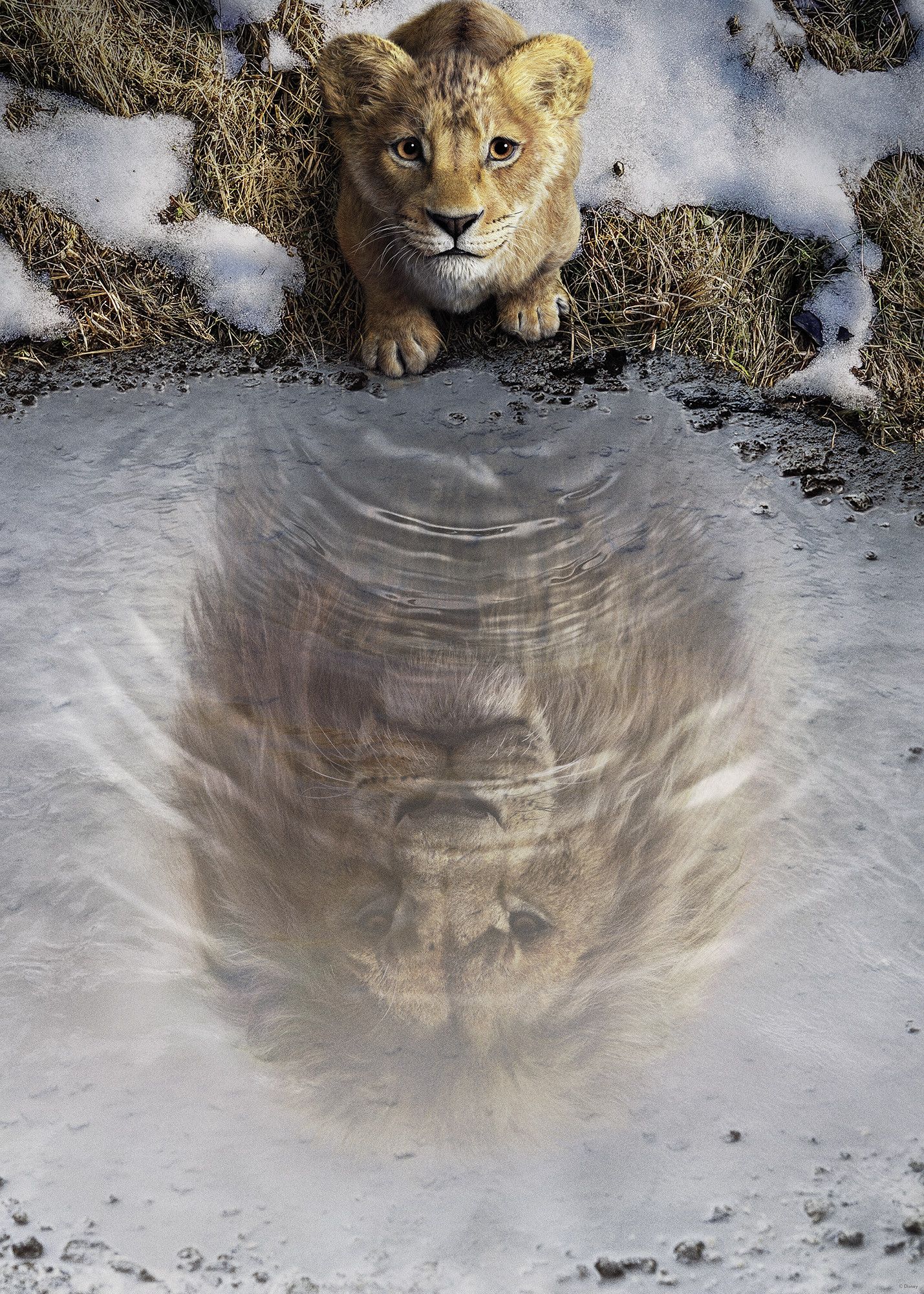 Disney Mufasa The Lion King