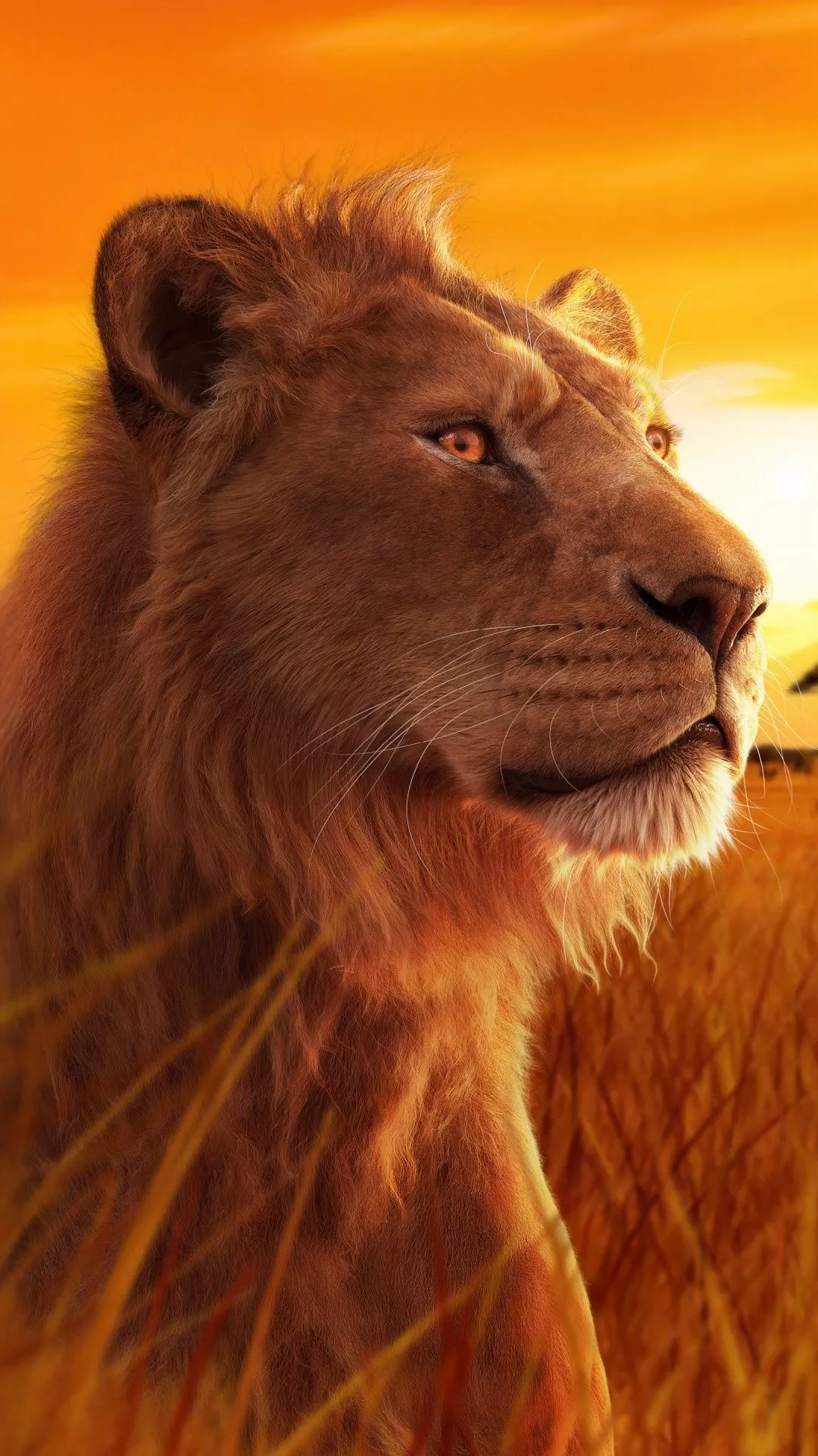 Mufasa Wallpaper 4K, 5K,, The Lion