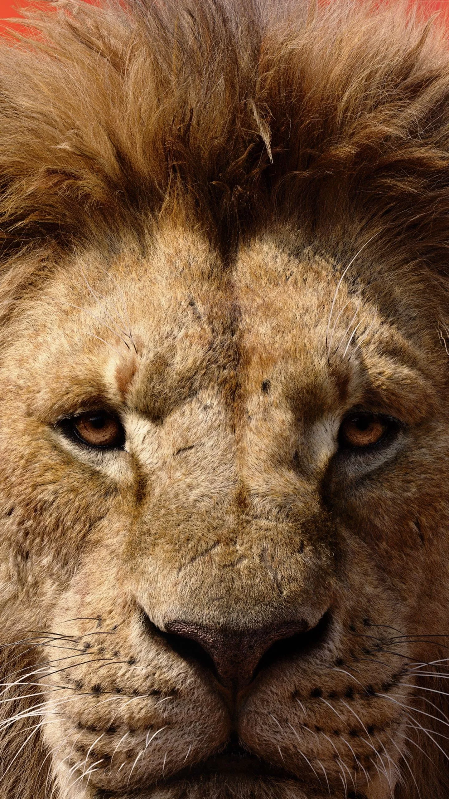 Mufasa The Lion King 2024 Film Ultra HD