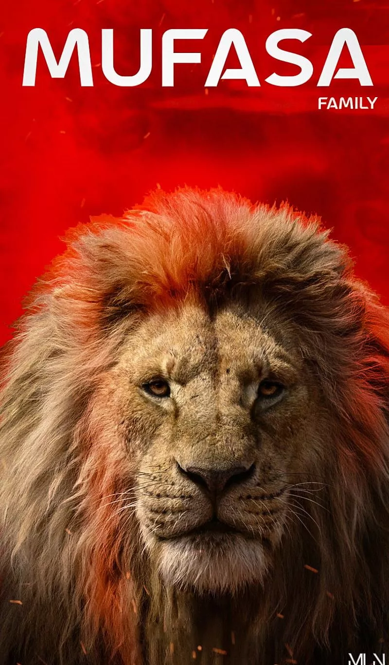 HD mufasa lionking wallpaper